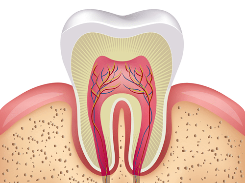 Extractions
